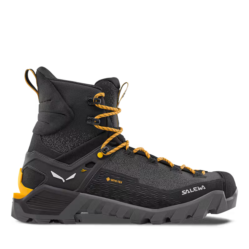 Ortles 2 Mid GTX Mens