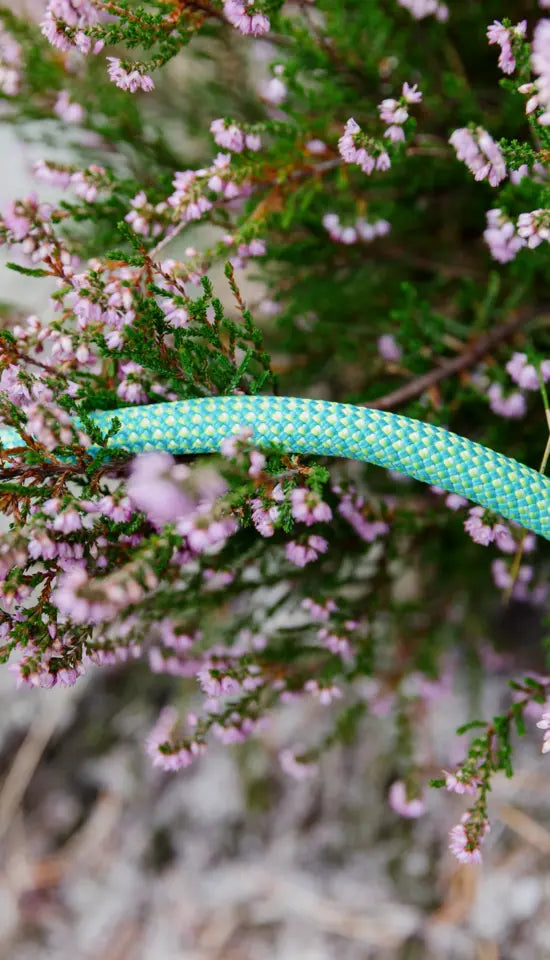 Eagle Lite Eco Dry 9.5mm
