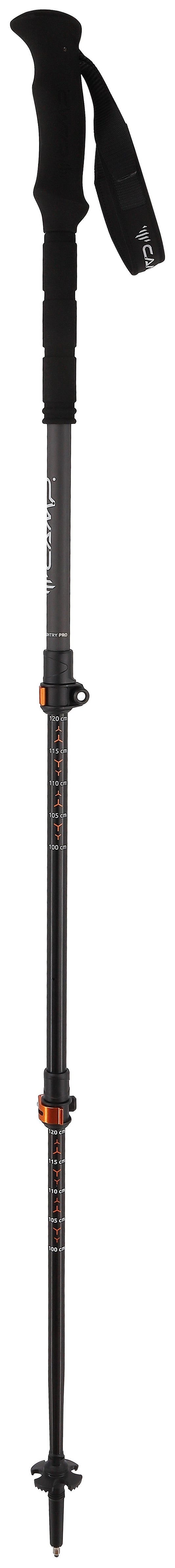 Backcountry Pro 2.0 Pole
