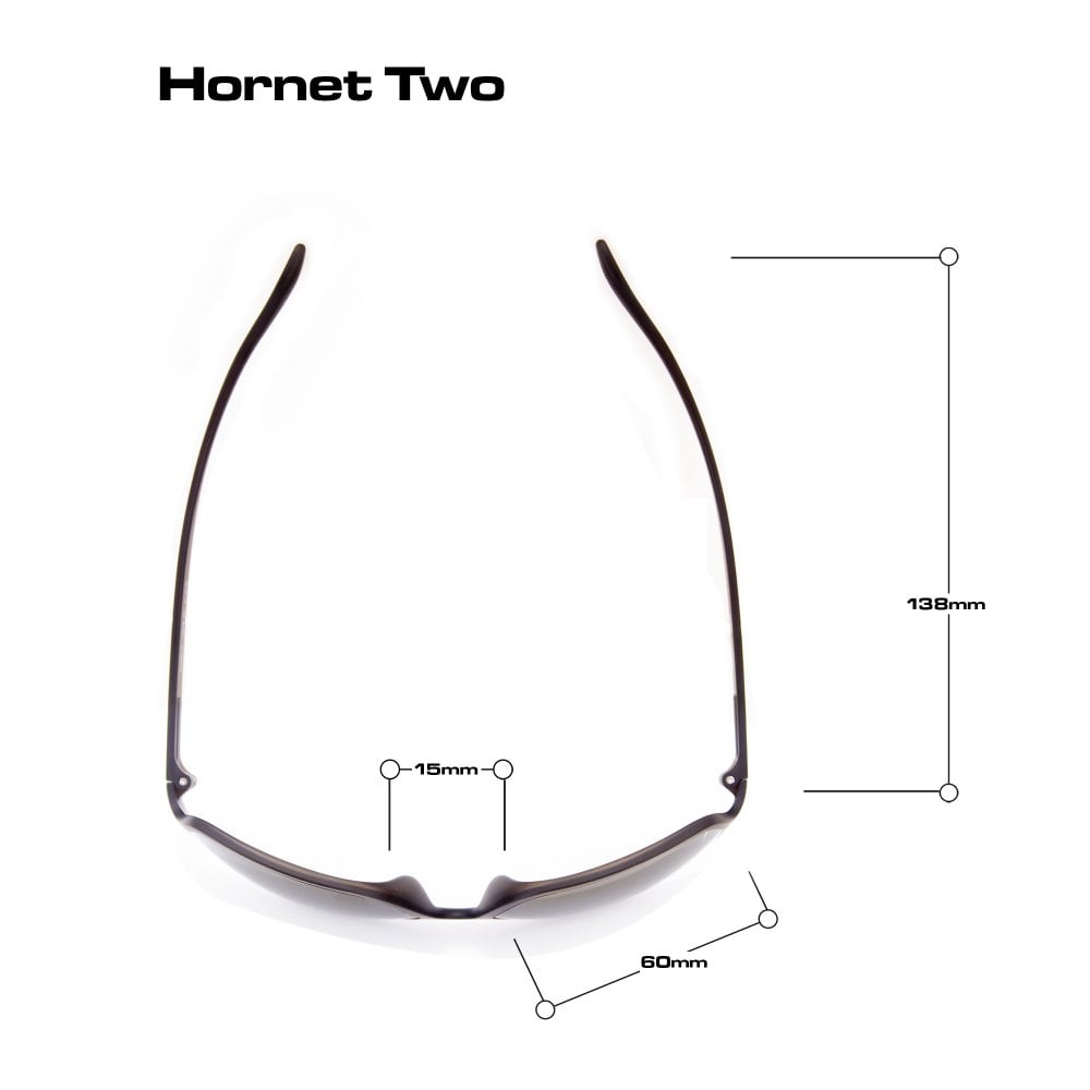 Hornet 2