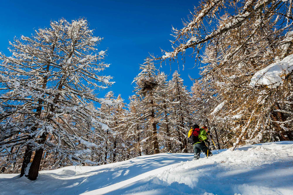 Monterosa Snowshoes