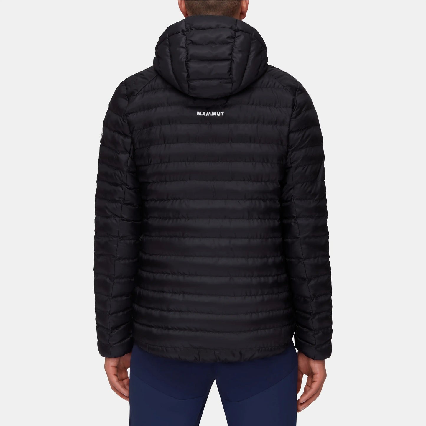 Albula IN Hooded Jacket Men