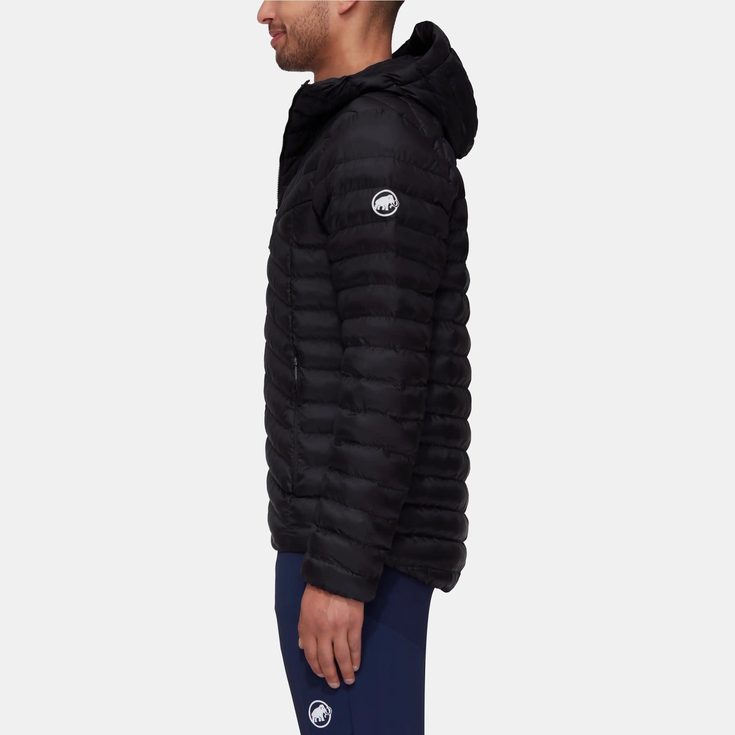 Albula IN Hooded Jacket Men