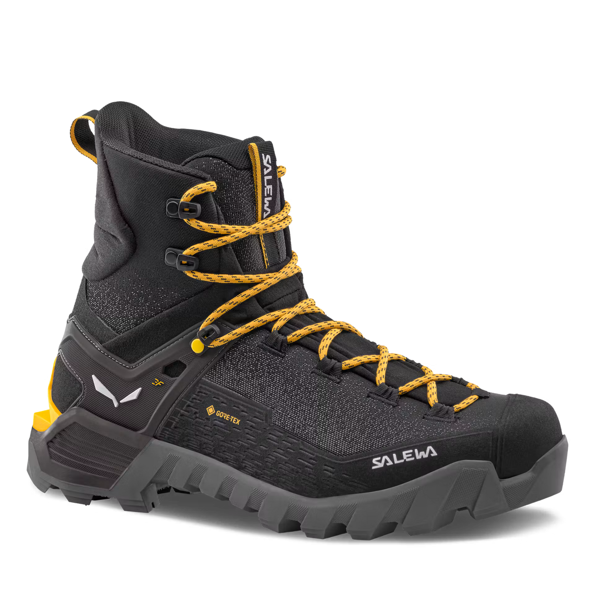 Ortles 2 Mid GTX Womens