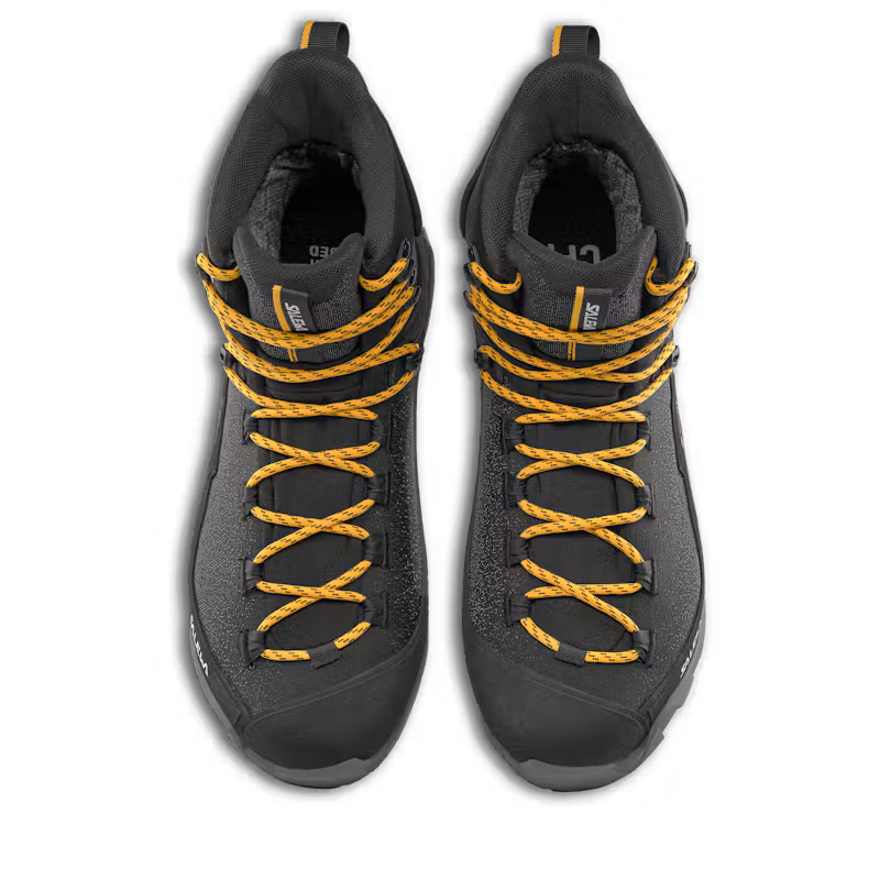 Ortles 2 Mid GTX Mens