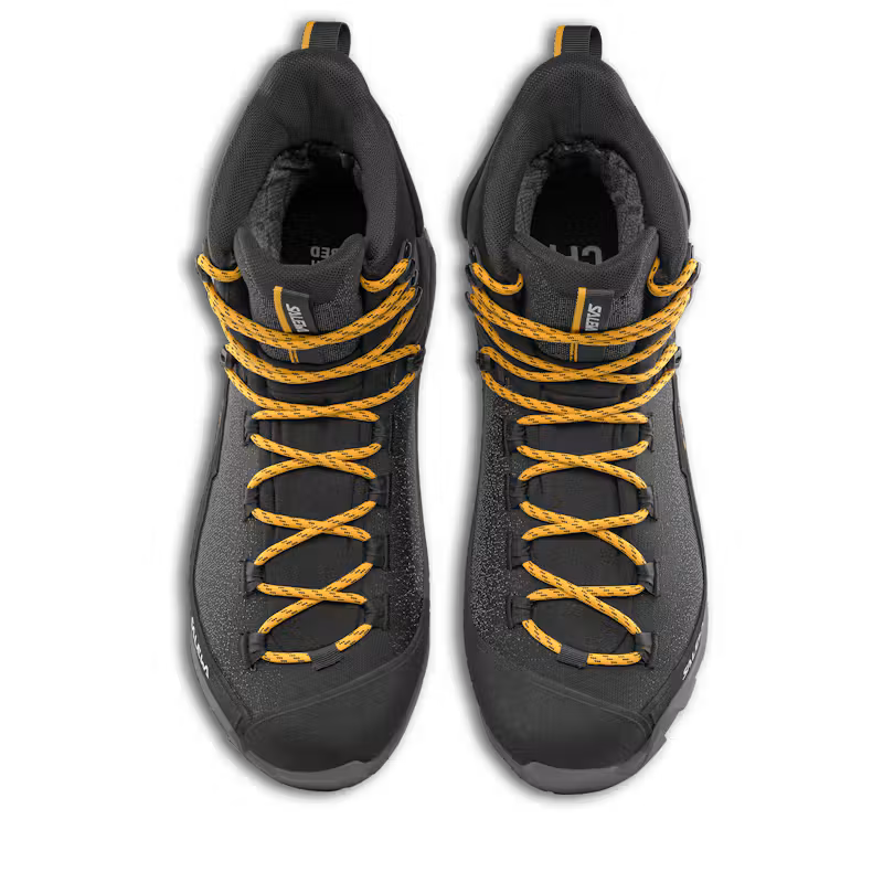 Ortles 2 Mid GTX Womens