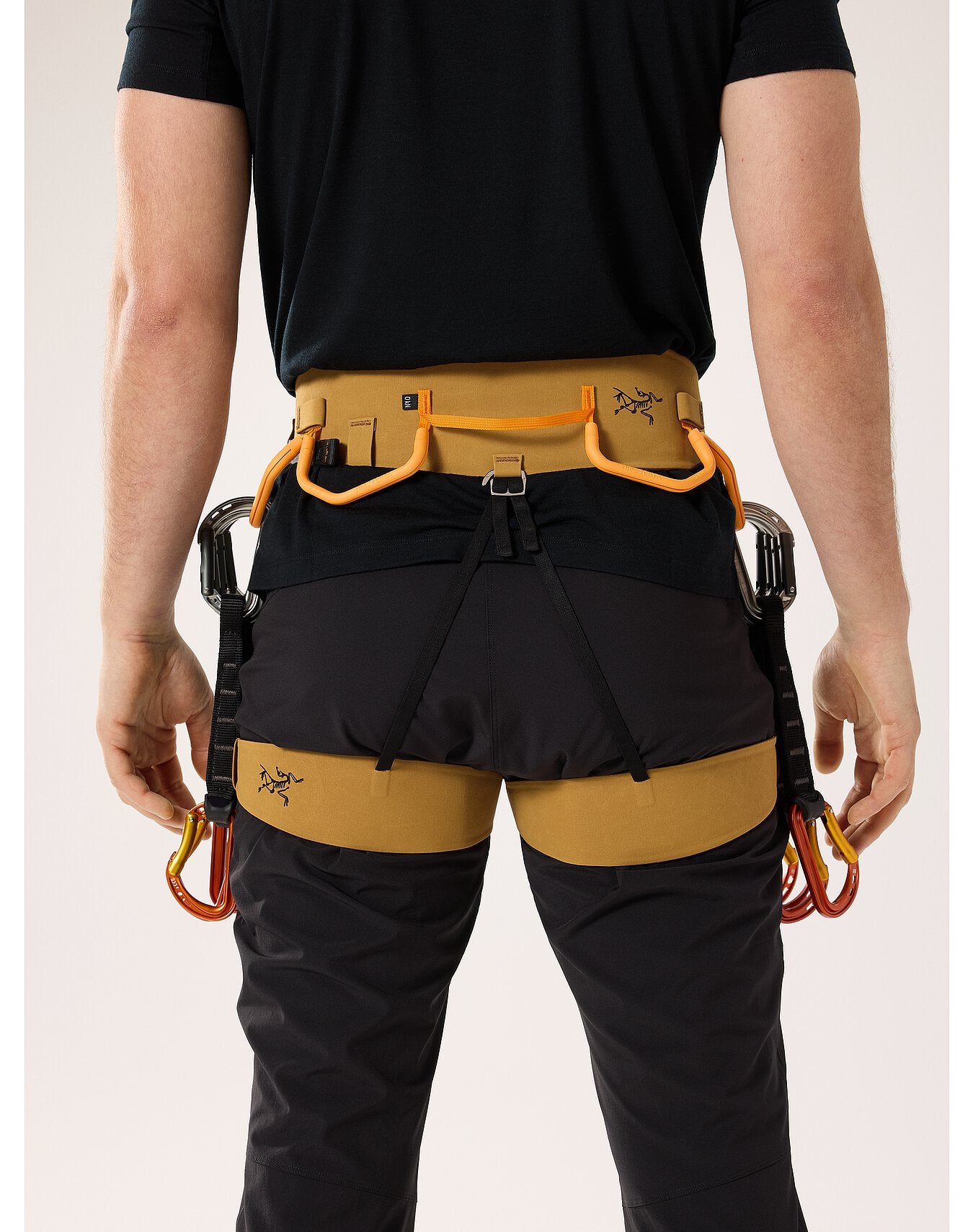 AR-395a Harness Men's (2024)