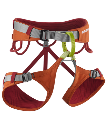 Jay IV Harness