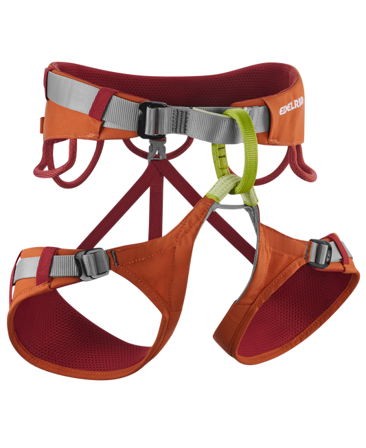 Jay IV Harness