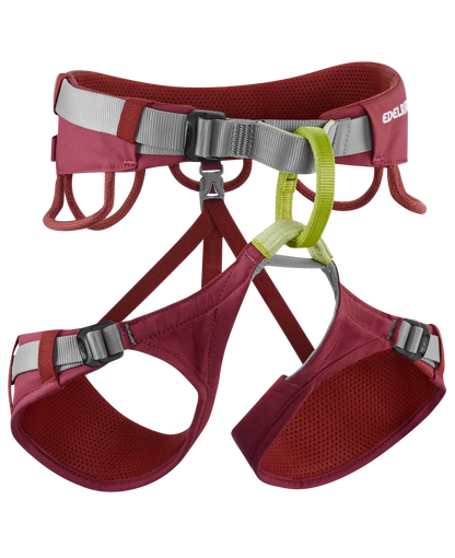 Jayne IV Harness