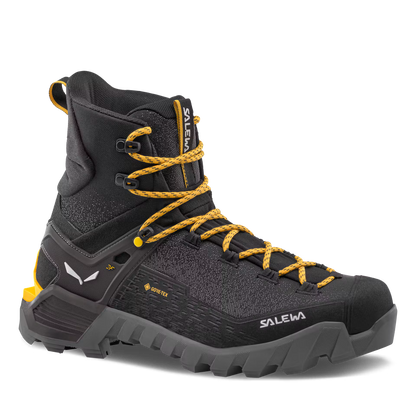 Ortles 2 Mid GTX Mens