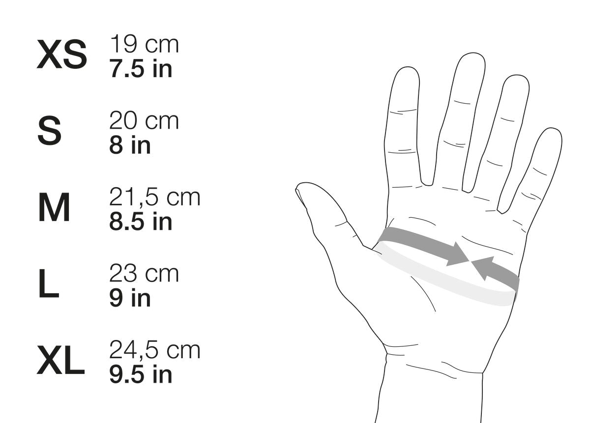 Cordex Plus