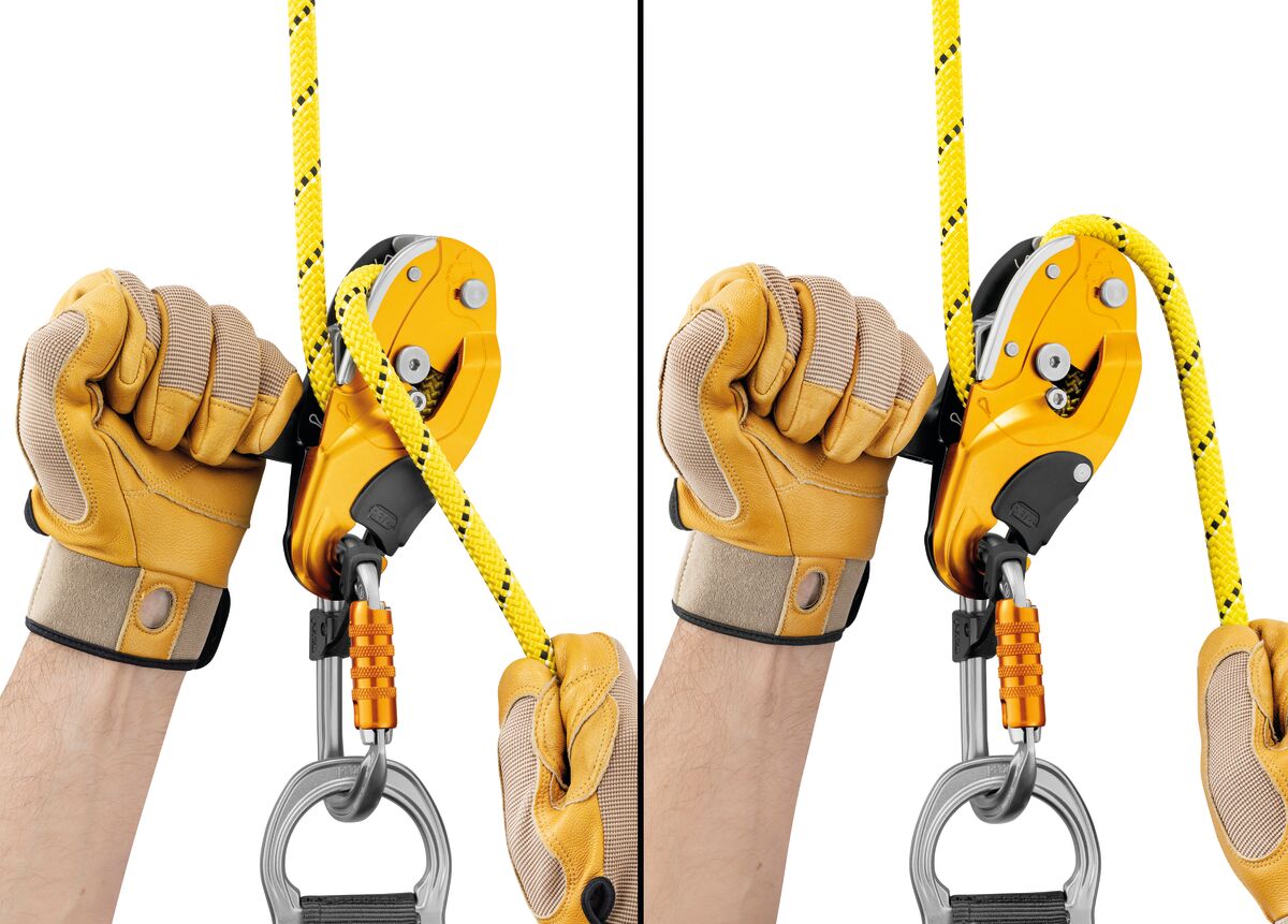 Rig®