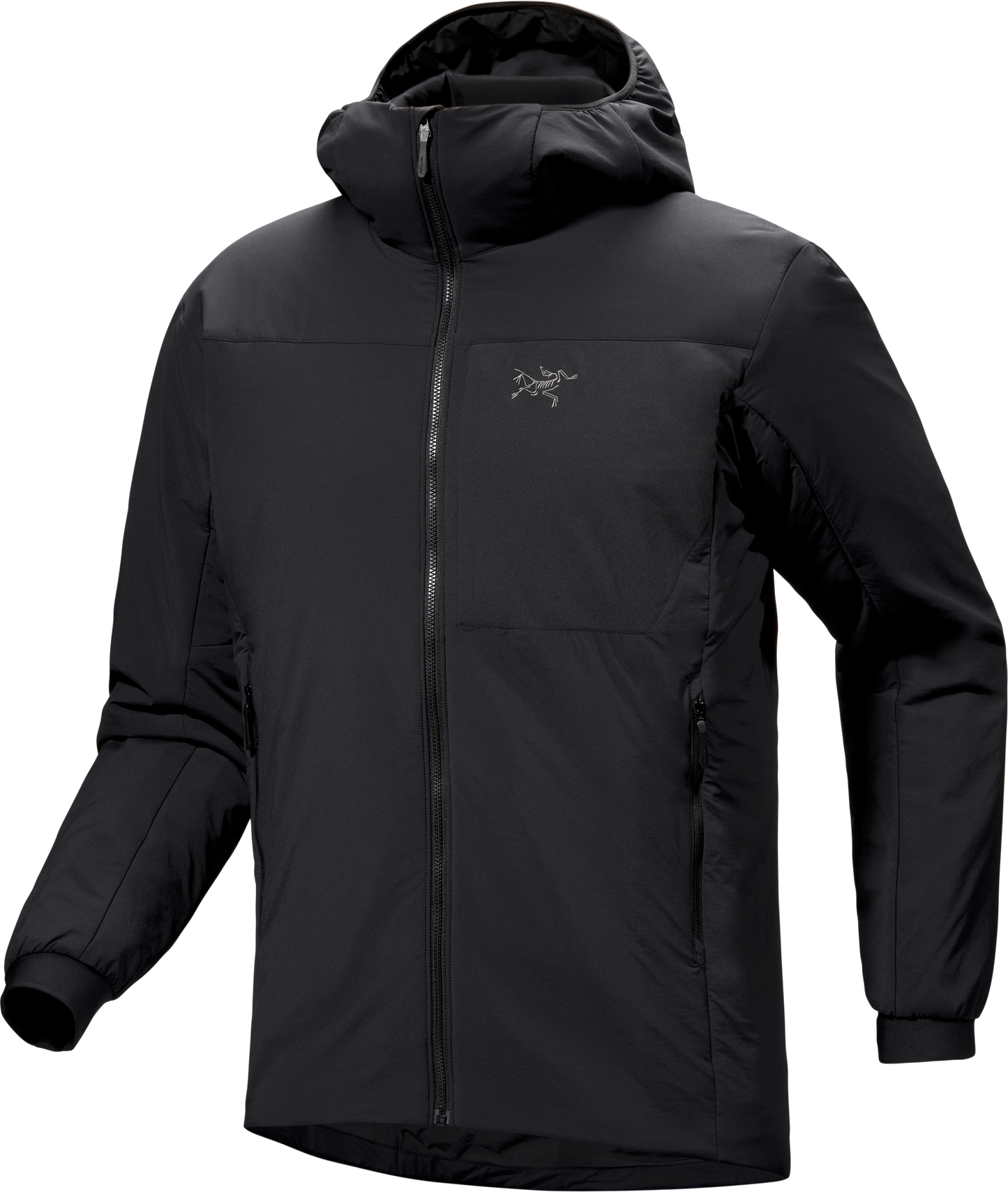 Proton Hoody Men's