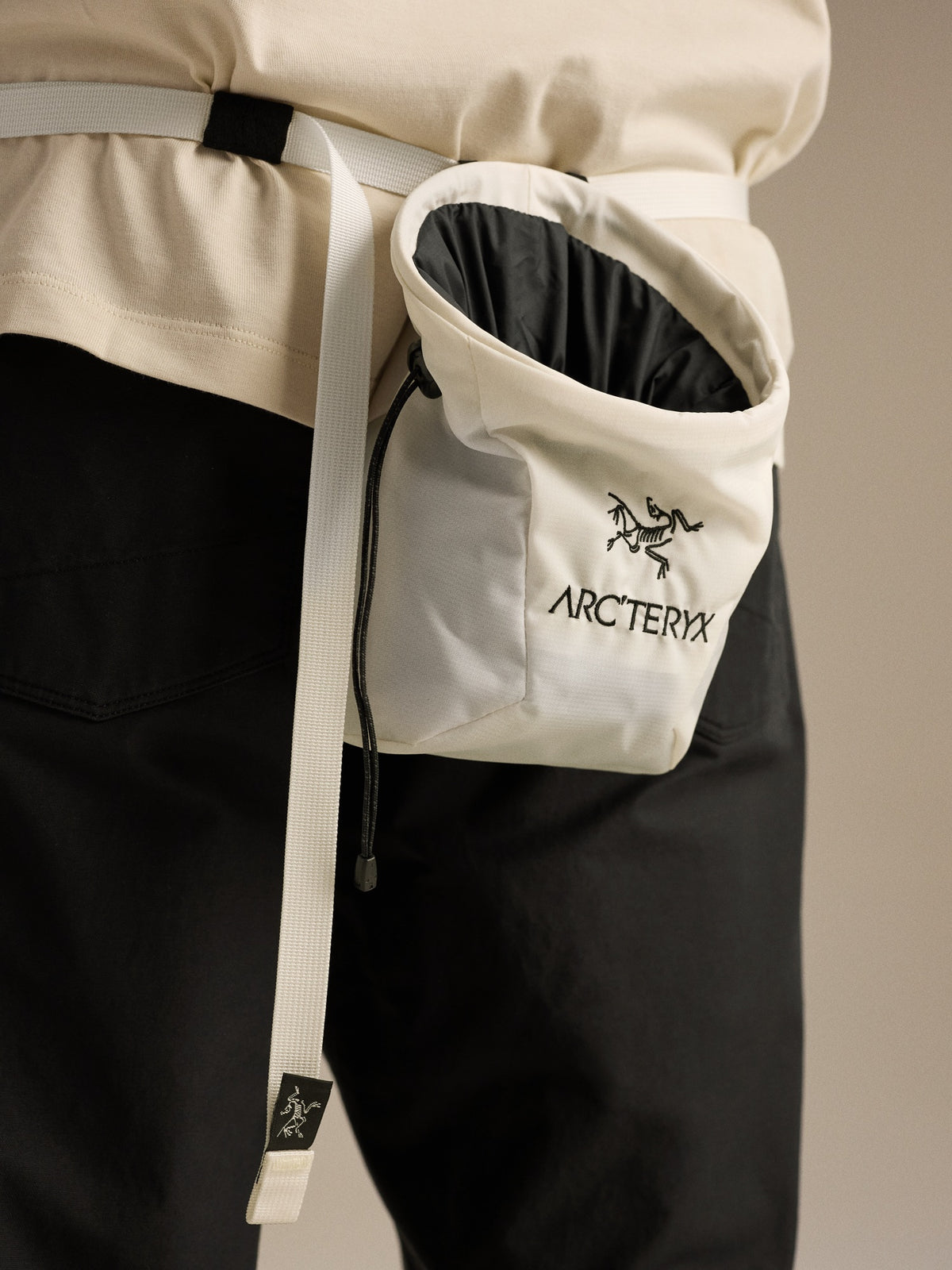 Ion SL Chalk Bag