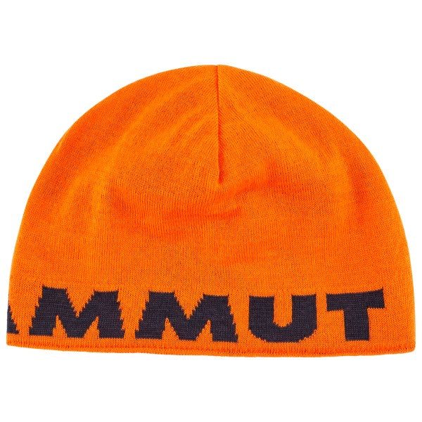 Logo Beanie