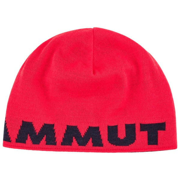 Logo Beanie