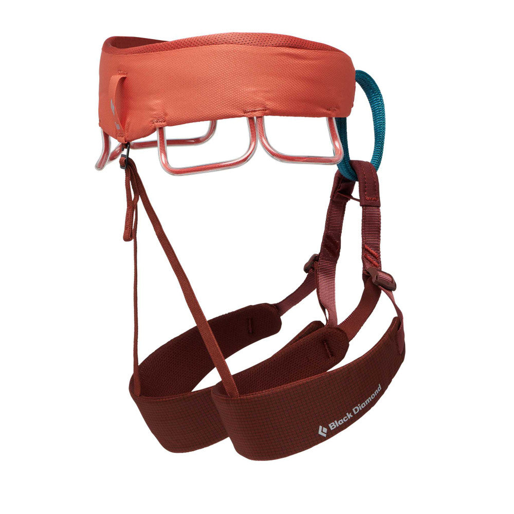 Momentum Harness - Women's