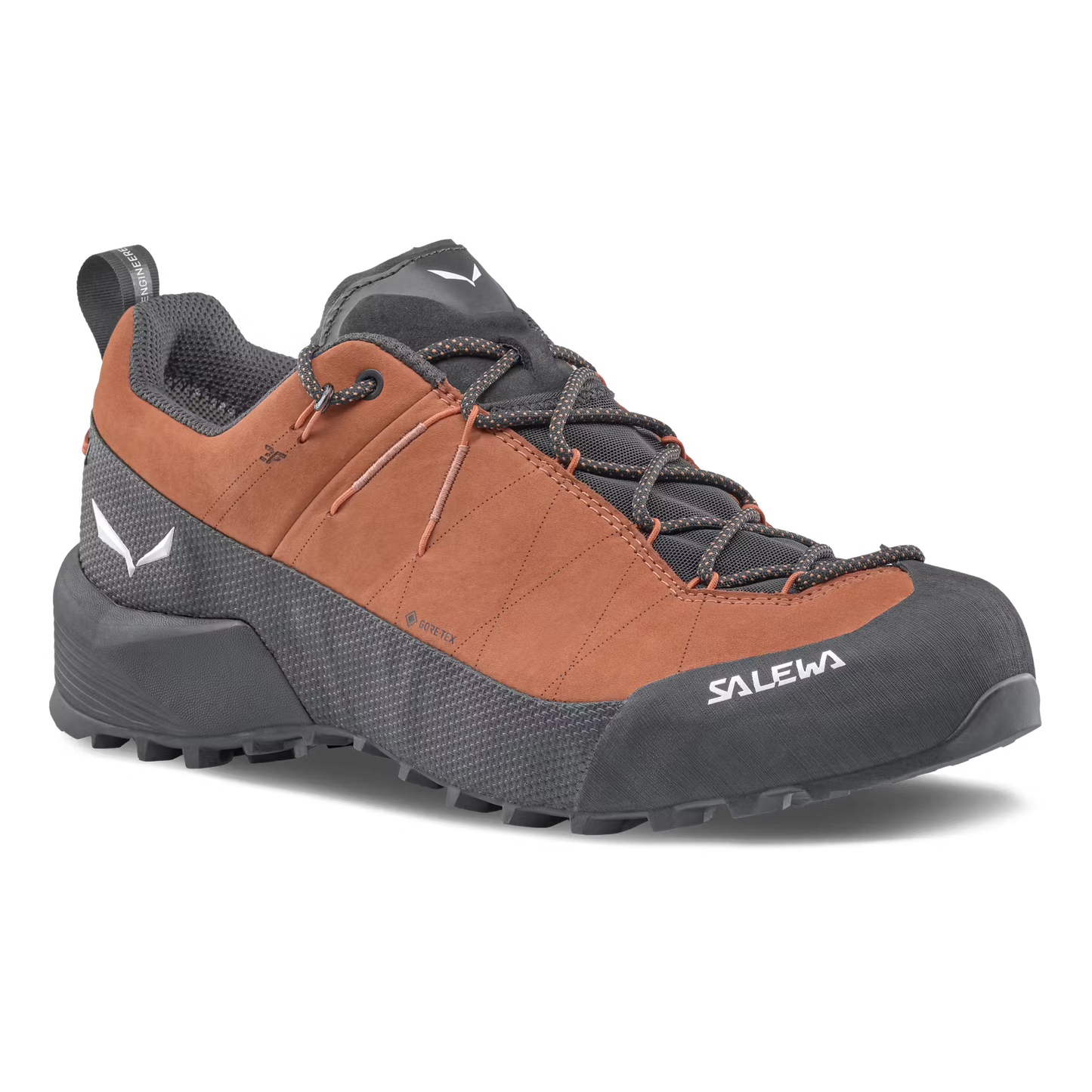 Wildfire Leather 2 GTX Shoe Mens