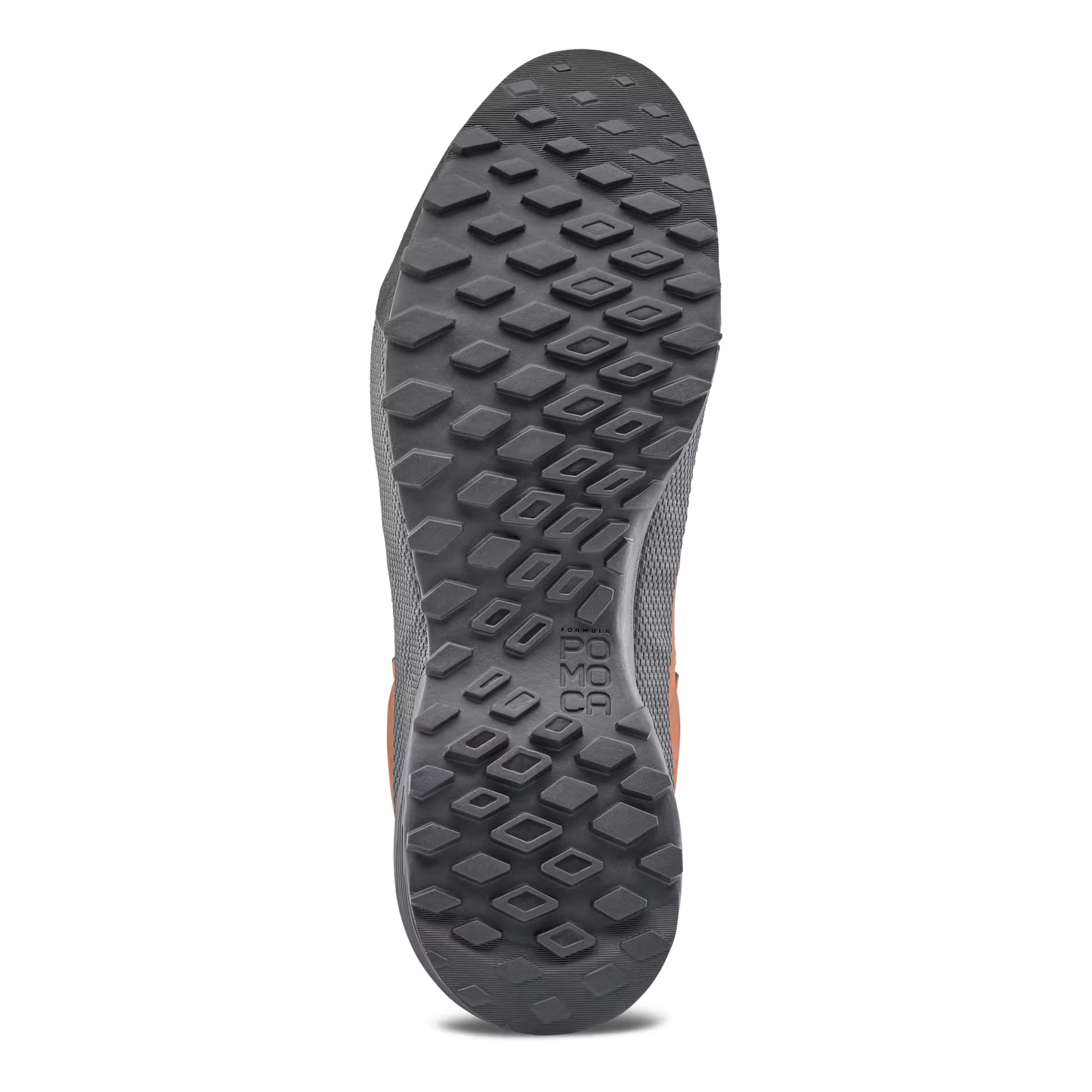 Wildfire Leather 2 GTX Shoe Mens