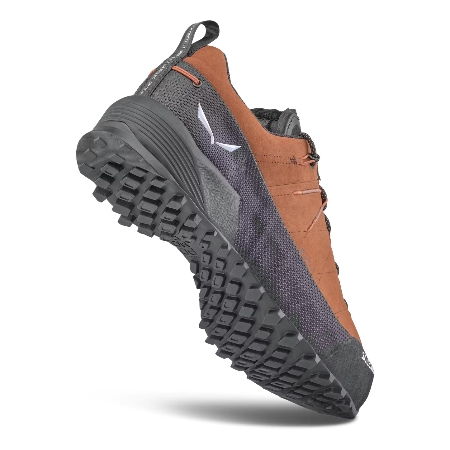 Wildfire Leather 2 GTX Shoe Mens