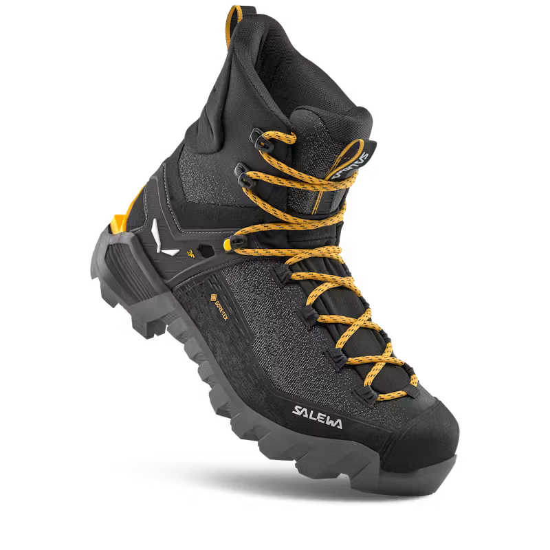 Ortles 2 Mid GTX Womens