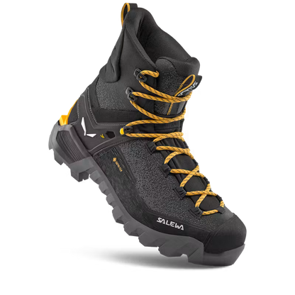 Ortles 2 Mid GTX Womens