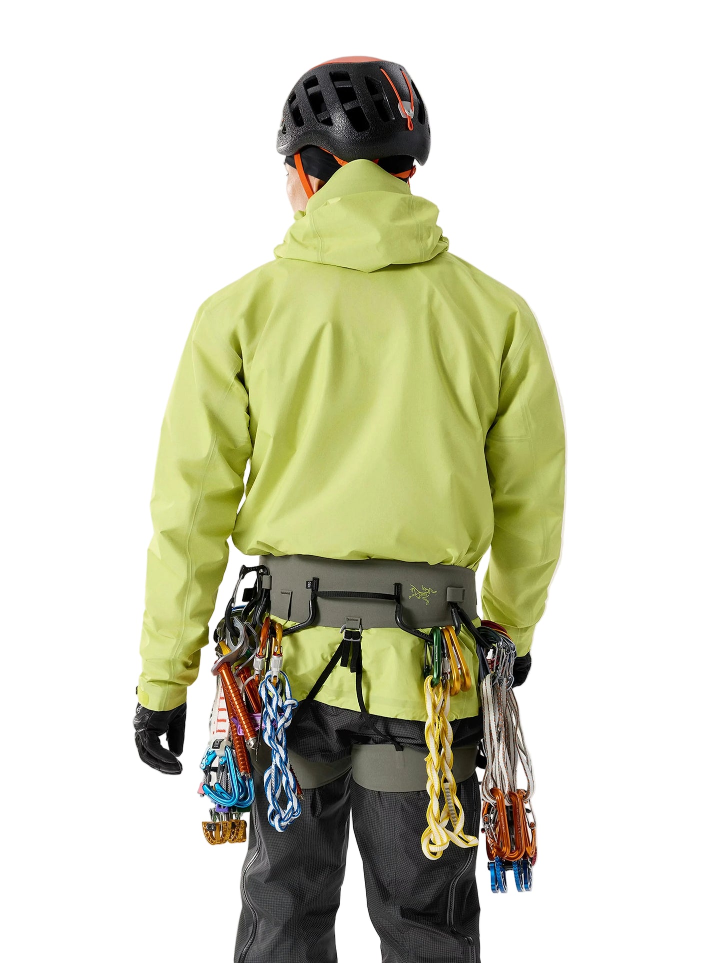 AR-395a Harness Men's