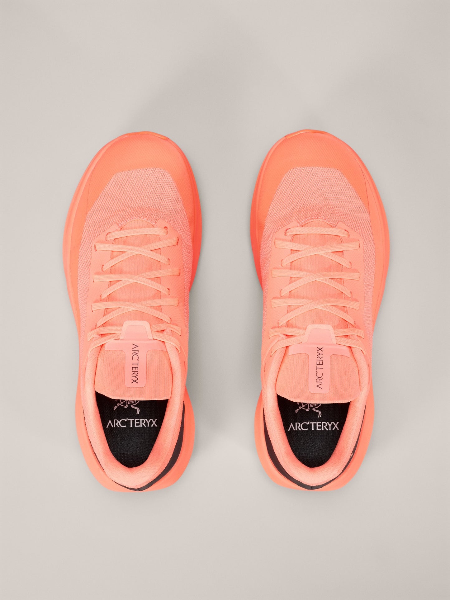Norvan LD 4 Shoe Women's