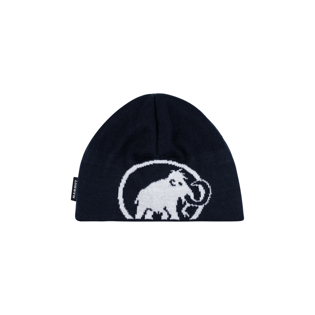 Tweak Beanie