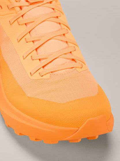 Norvan LD 4 Shoe Men's