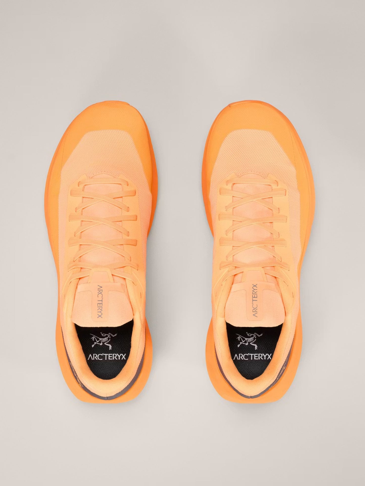Norvan LD 4 Shoe Men's