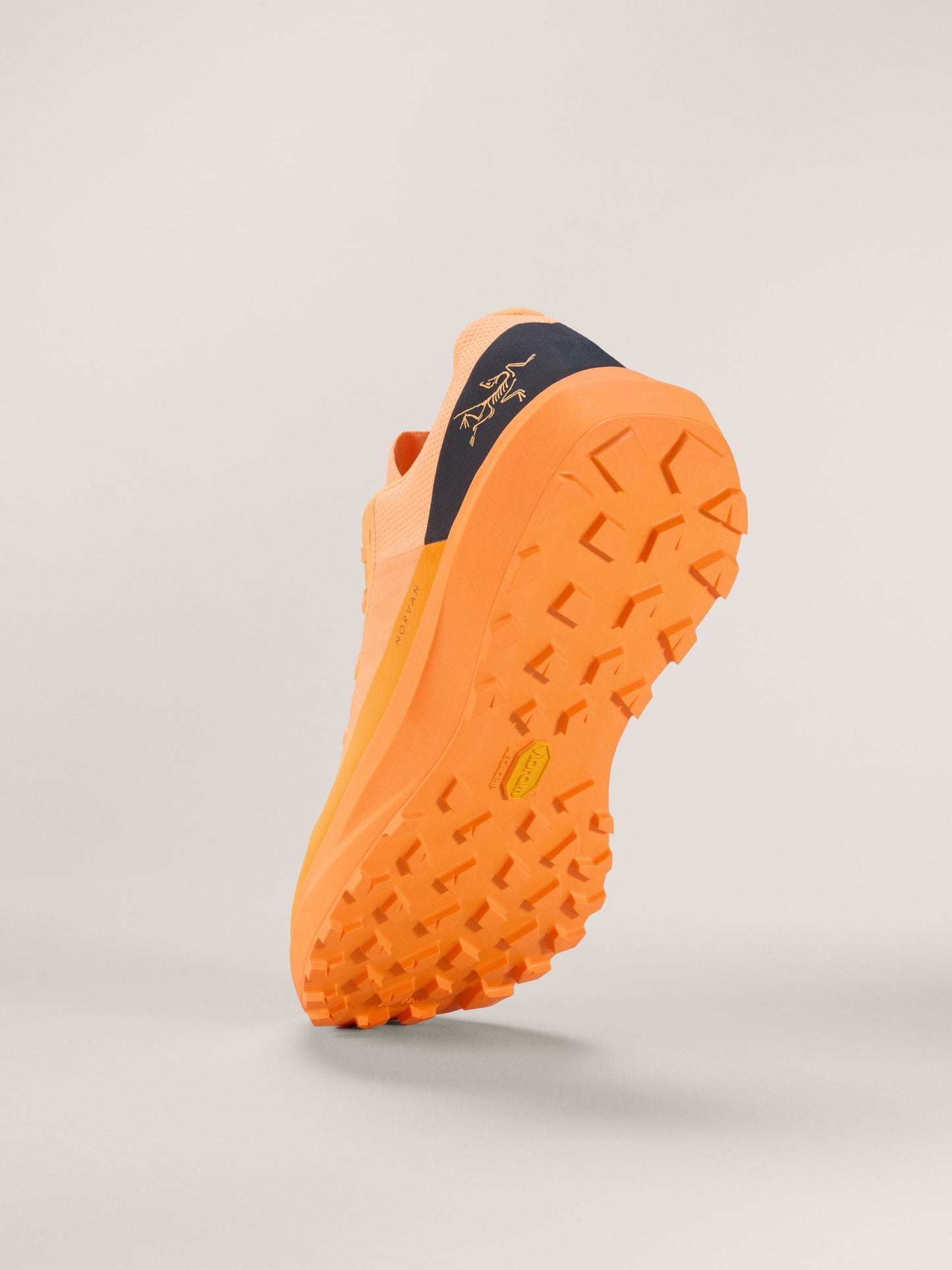 Norvan LD 4 Shoe Men's