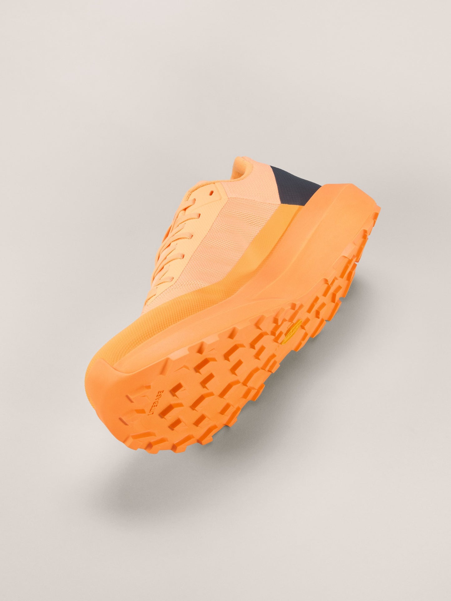 Norvan LD 4 Shoe Men's