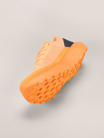 Norvan LD 4 Shoe Men's